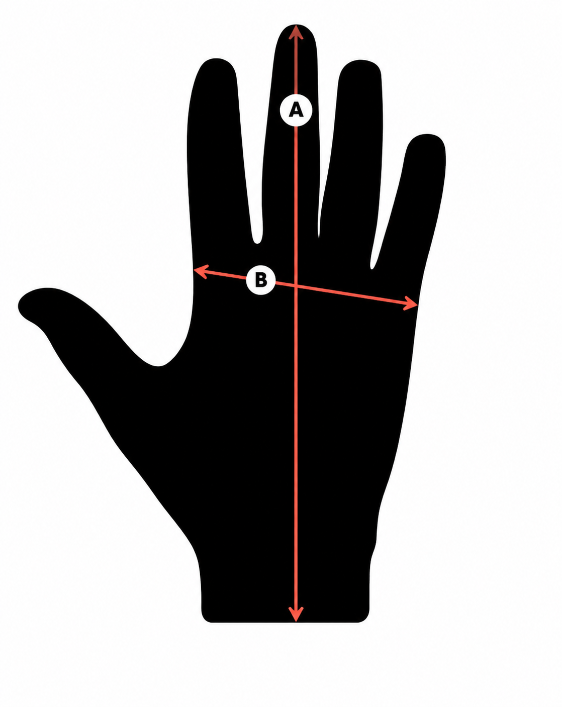 GlovesImage